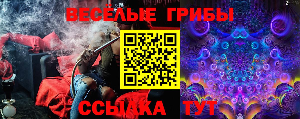 Псилоцибиновые грибы ЛСД  Вход с VPN  купить наркотик  Сегежа 
